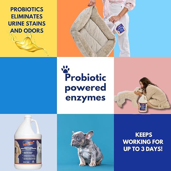 Whip-Pet Pet Odor Eliminator and Stain Remover - Enzymatic Cleaner for Dog Urine and Carpet Odor Eliminator - Pet Odor Remover - 128 fl oz / 3.78L - NeatNest