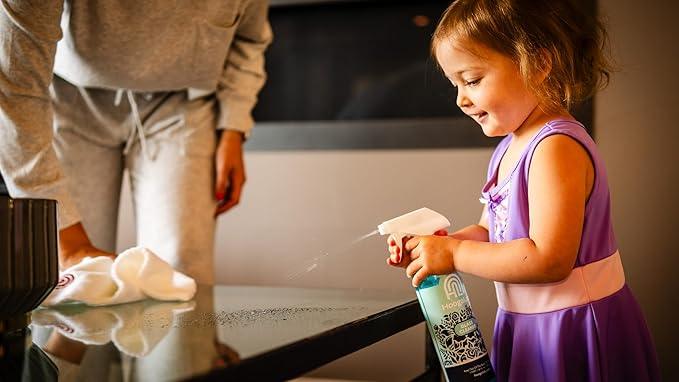 16oz Glass Cleaner - No Streak, All Shine! Achieve a Crystal Clear Shine on All of Your Glass Surfaces | Elimate Fingerprints, Smudges, Water Spots, and More! (2 pack) - NeatNest