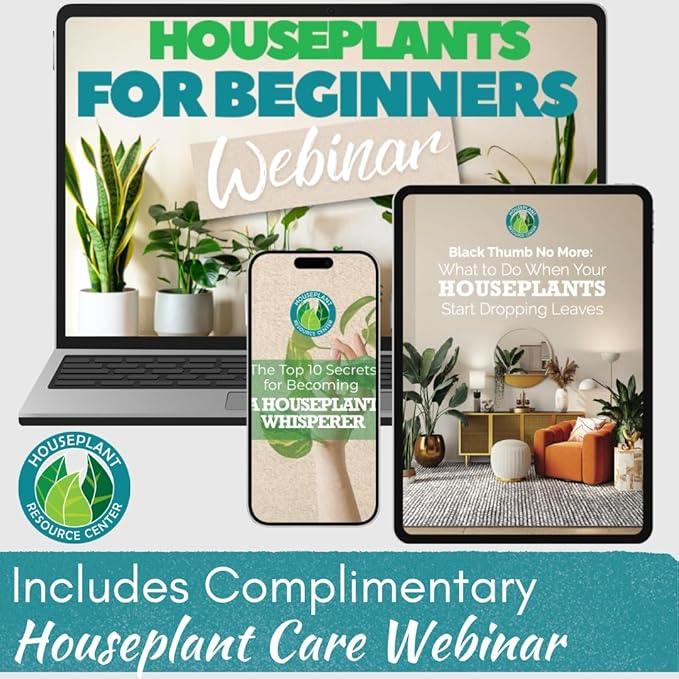 Houseplant Leaf Shine & Cleaner Wipes | Removes Dust, Dirt & Water Spots for Healthier, Glossy Leaves | Easy-to-Use Natural Leaf Cleaning Wipes for Indoor & Outdoor Plants | 30 Count - NeatNest