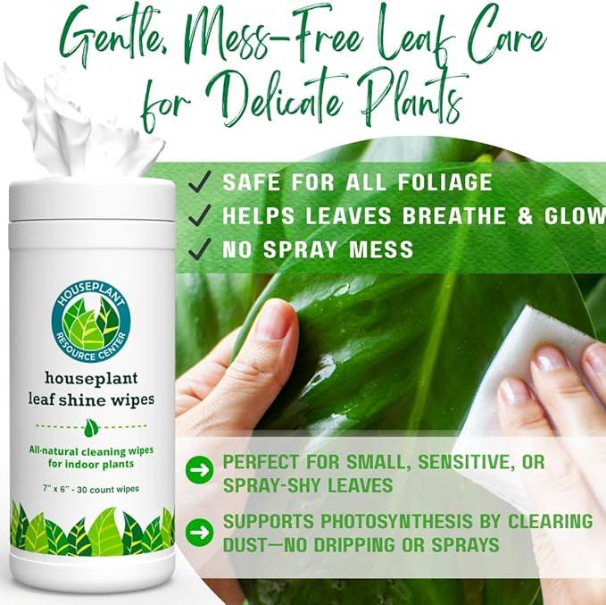 Houseplant Leaf Shine & Cleaner Wipes | Removes Dust, Dirt & Water Spots for Healthier, Glossy Leaves | Easy-to-Use Natural Leaf Cleaning Wipes for Indoor & Outdoor Plants | 30 Count - NeatNest