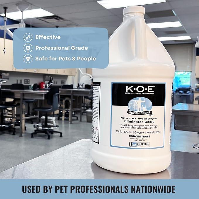 Odorcide K.O.E. Fresh Scent Odor Eliminator Concentrate – For Strong Odor on Cages, Floor, & More – Non-Enzymatic For Home & Dog Kennel – Home & Pet Supplies (1 Gal) - NeatNest