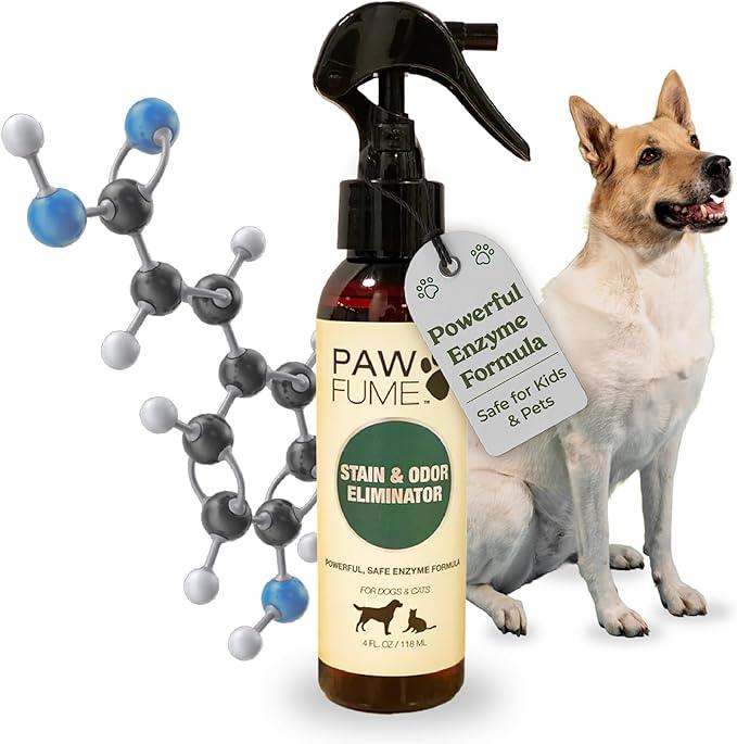 PAWFUME Stain & Pet Urine Odor Eliminator, 1-Pack – Removes Impurities in Seconds – Enzymatic Formula, Quick-Dry Action, & Eco-Friendly Ingredients – Upholstery, Fabrics, and Carpet Cleaner Spray - NeatNest