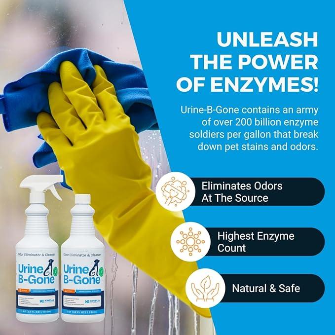 KINZUA ENVIRONMENTAL Urine B-Gone, Professional Enzyme Odor Eliminator & Pet Stain Remover, Human, Cat & Dog Urine Cleaner, Effective on Laundry, Carpets & More, Citrus Scent, 32oz, Pack of Two - NeatNest