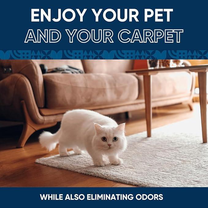 Oxy Pet Carpet Cleaner Spray | Pet Stain Remover for Pet Urine, Cat Pee, Dog Poop | Deep Spot Treating Action on Carpeting, Upholstery, Laundry, Pet Beds & More (128 Fl Oz) - NeatNest