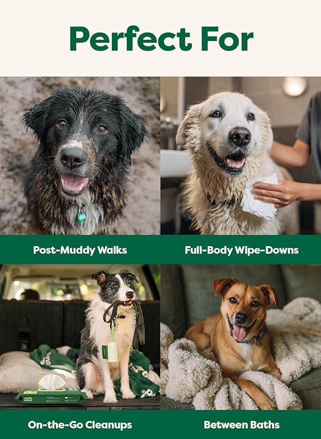 Earth Rated XL Pet Wipes for Dogs & Cats, 3-in-1 Unscented Hypoallergenic Cleaning, Deodorizing and Hydrating Extra Large Grooming for Body, Paws and Butt, Unscented, 60 Count - NeatNest