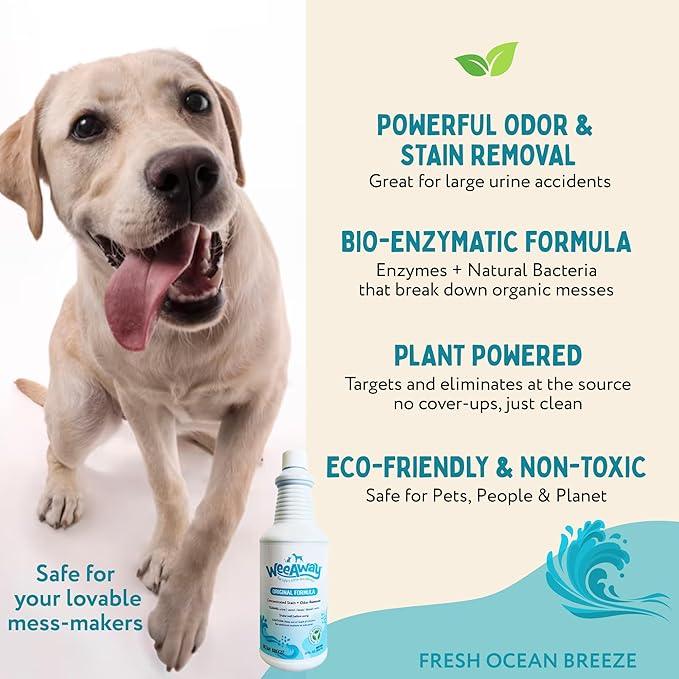 Wee Away Original Formula Concentrated Stain & Odor Remover, Enzyme Cleaner, Pet Urine Odor Eliminator for Home - Pet Mess Destroyer for Carpet & Furniture, Ocean Breeze Scent, 32 fl oz - NeatNest