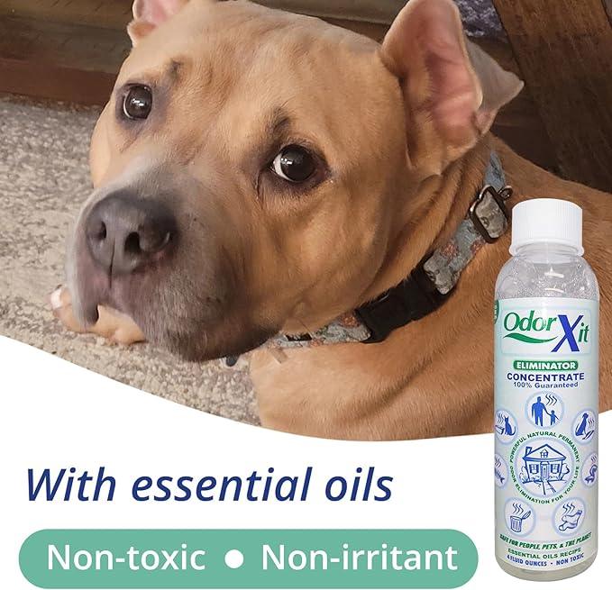 Concentrated Pet Urine Odor Eliminator, Ideal for Cat, Dog Poo and Urine Smell, Versatile & Natural Odor Neutralizer for Home and Outdoor Use, Deodorizer & Absorber, Concentrate, 4oz - NeatNest