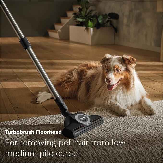 Miele New Guard M1 Cat & Dog Bagged Canister Vacuum for Pet Owners with Odor-Reducing Active AirClean Filter, TurboTeQ Floorhead, and AllTeQ Universal Floorhead, in Obsidian Black/Space Grey - NeatNest