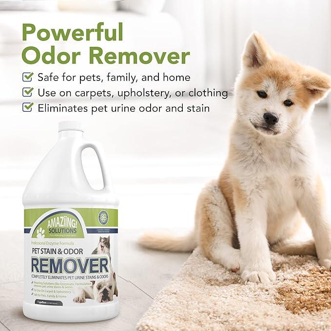 Pet Stain and Odor Remover - Enzyme Cleaner, Pet Urine Odor Eliminator Refill - Floor & Carpet Cleaner, Pet Deodorizers For Home, Fabric Freshener W/Fresh, Clean Scent, 1 Gallon - NeatNest