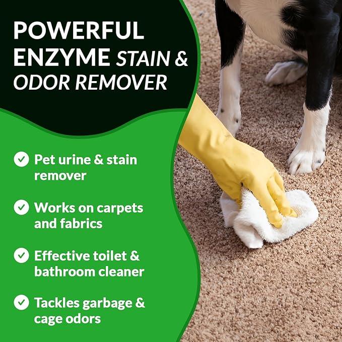 Strong Stain & Odor Eliminator - Cats & Dog Enzymatic Urine Destroyer -MADE IN USA- Fresh Scent Multi-Purpose Pet Stain Remover for Floors, Carpet, Bathrooms, Drains & Trash Deodorizer cleaner, 128oz - NeatNest