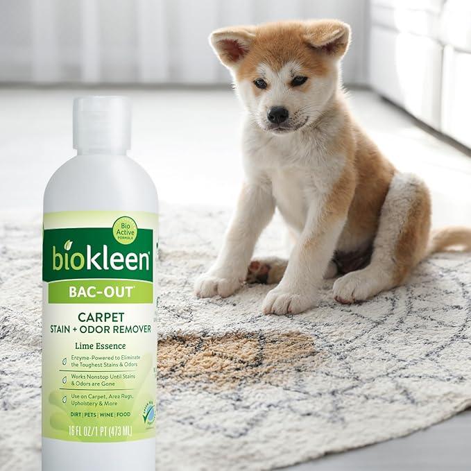 Biokleen Bac-Out Enzymatic Stain & Odor Remover for Carpet - Removes Stains and odors caused by dirt, pet accidents, wine, food, smoke - 2 Pack 32 oz w/Micro Cleaning Towel - NeatNest
