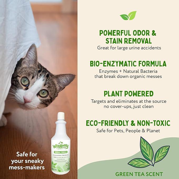 Wee Away Original Formula Concentrated Stain & Odor Remover, Enzyme Cleaner, Pet Urine Odor Eliminator for Home - Pet Mess Destroyer for Carpet & Furniture, Green Tea Scent, 32 fl oz - NeatNest