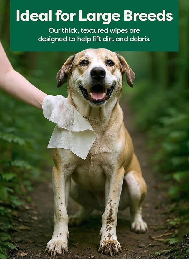Earth Rated XL Pet Wipes for Dogs & Cats, 3-in-1 Unscented Hypoallergenic Cleaning, Deodorizing and Hydrating Extra Large Grooming for Body, Paws and Butt, Unscented, 60 Count - NeatNest