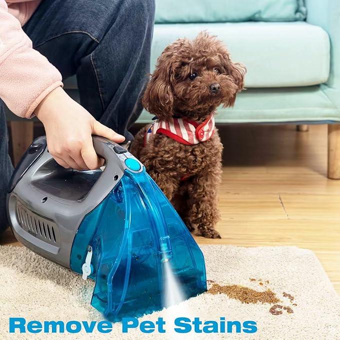 Hausmeister Hydroflex Portable Carpet Cleaner Machine, Upholstery Cleaner Machine for Couch, Car Seats & Pet Stains, 500W Powerful Handheld Deep Cleaner with 3 Brush Heads - NeatNest