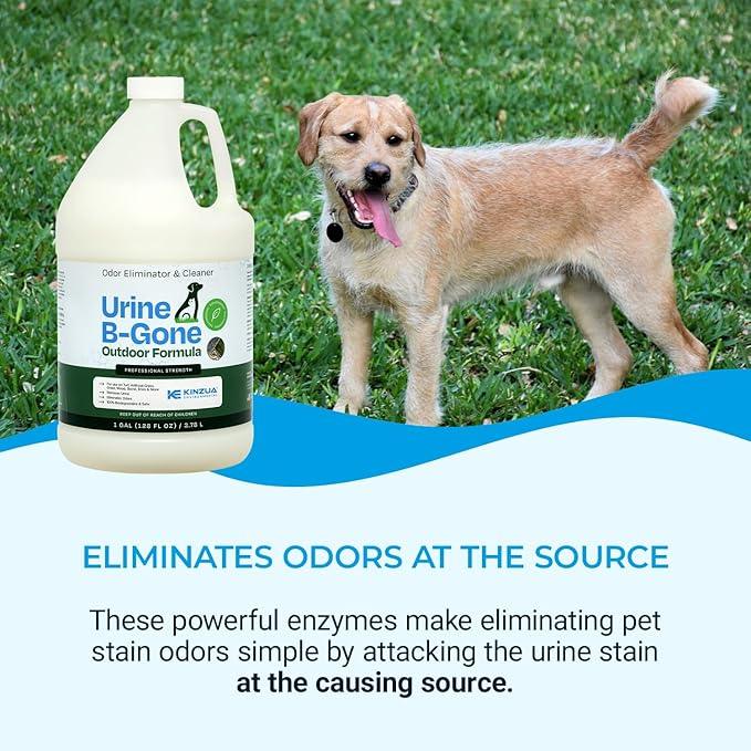 KINZUA ENVIRONMENTAL Urine B-Gone-OD Professional Pet Urine Enzyme Cleaner, Pet Yard Odor Eliminator for Artificial Grass, Concrete & More, 1 Gallon - NeatNest