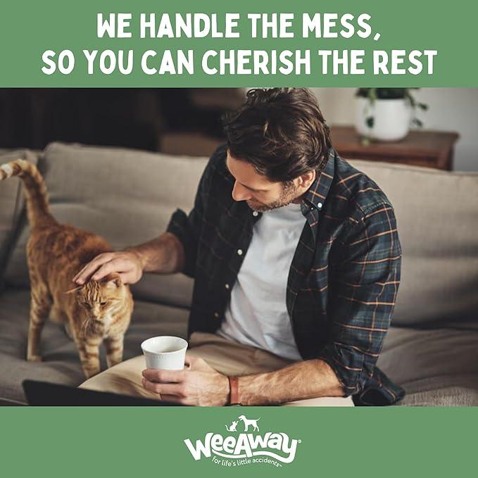 Wee Away Original Formula Concentrated Stain & Odor Remover, Enzyme Cleaner, Pet Urine Odor Eliminator for Home - Pet Mess Destroyer for Carpet & Furniture, Green Tea Scent, 32 fl oz - NeatNest