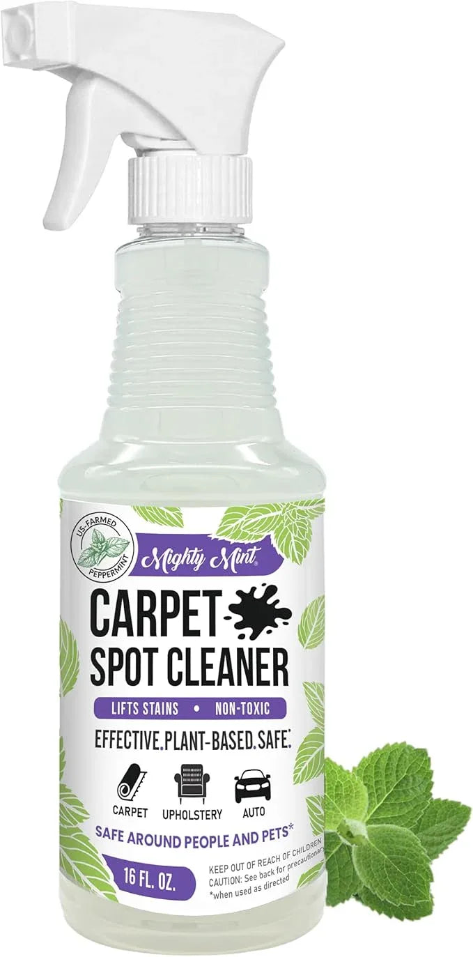 Mighty Mint Carpet Spot Cleaner, Spray to Remove Carpet Stains Instantly, Natural Peppermint Scent, 16oz - NeatNest