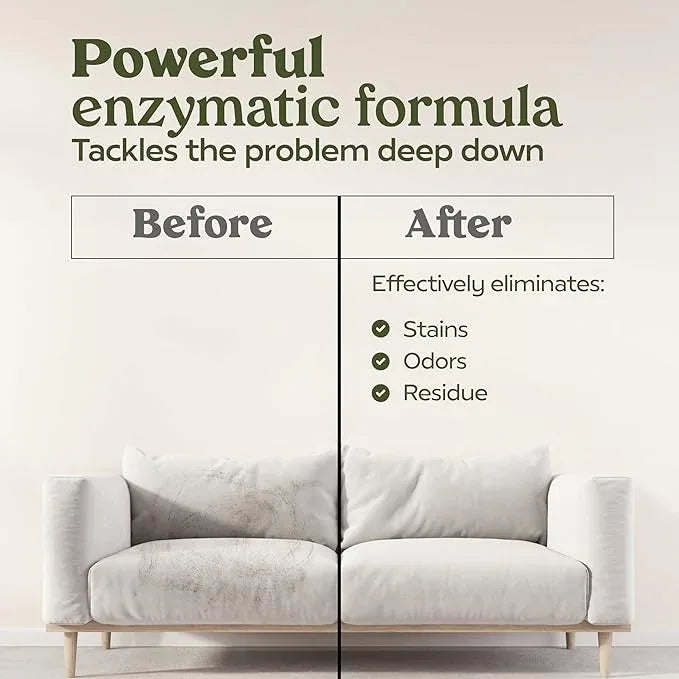 PAWFUME Stain & Pet Urine Odor Eliminator, 1-Pack – Removes Impurities in Seconds – Enzymatic Formula, Quick-Dry Action, & Eco-Friendly Ingredients – Upholstery, Fabrics, and Carpet Cleaner Spray - NeatNest