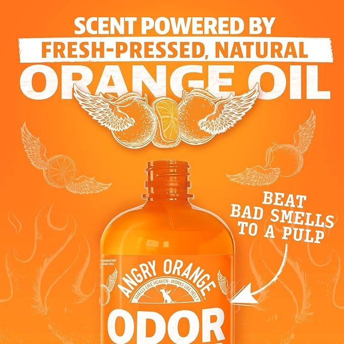ANGRY ORANGE Pet Odor Eliminator for Dog and Cat Urine, Carpet Stains, and Strong Smells – Citrus Cleaner with Natural Orange Oil – 24 oz - NeatNest