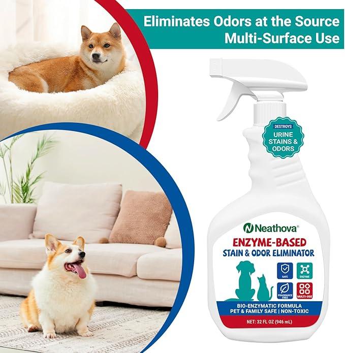 Stain & Strong Odor Eliminator, Enzyme Cleaner, Pet Odor Eliminator for Home - Carpet Stain Remover for Cats & Dog Pee - Urine Destroyer - Carpet Cleaner Spray Clear - NeatNest