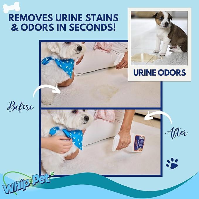 Whip-Pet Pet Odor Eliminator and Stain Remover - Enzymatic Cleaner for Dog Urine and Carpet Odor Eliminator - Pet Odor Remover - 128 fl oz / 3.78L - NeatNest