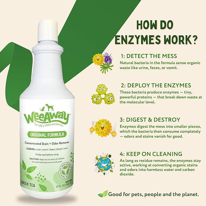 Wee Away Original Formula Concentrated Stain & Odor Remover, Enzyme Cleaner, Pet Urine Odor Eliminator for Home - Pet Mess Destroyer for Carpet & Furniture, Green Tea Scent, 32 fl oz - NeatNest