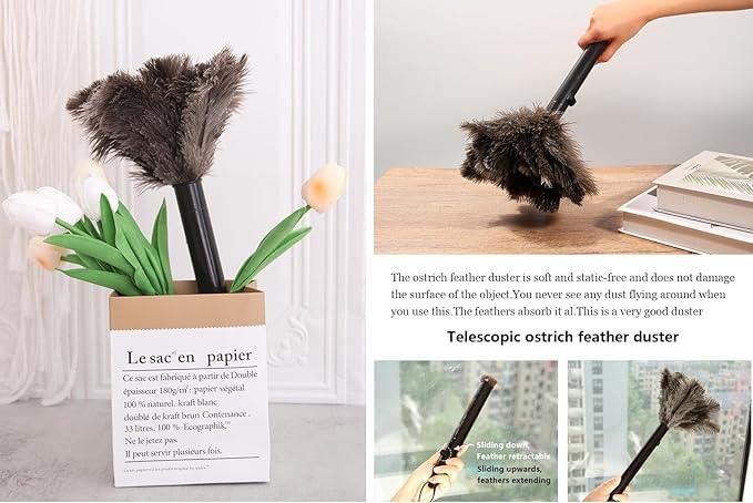 Retractable Ostrich Feather Duster for Cleaning, 15 Inch Fluffy and Natural Feather Duster with Retractable Handle， Reusable Eco-Friendly Handheld Cleaning Supplies (10 pcs) - NeatNest