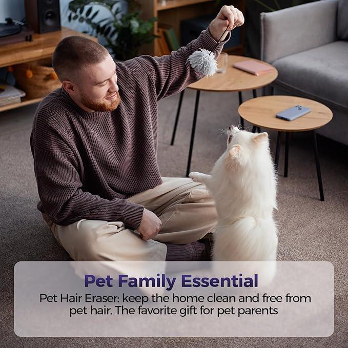 Pet Hair Handheld Vacuum Cordless: 20000PA High Power Car Vacuum with Motorized Brush and LED Light, Rechargeable Hand Held Vacuum Cleaner with Reusable Filter for Car, Home, Office & Pet, Blue - NeatNest