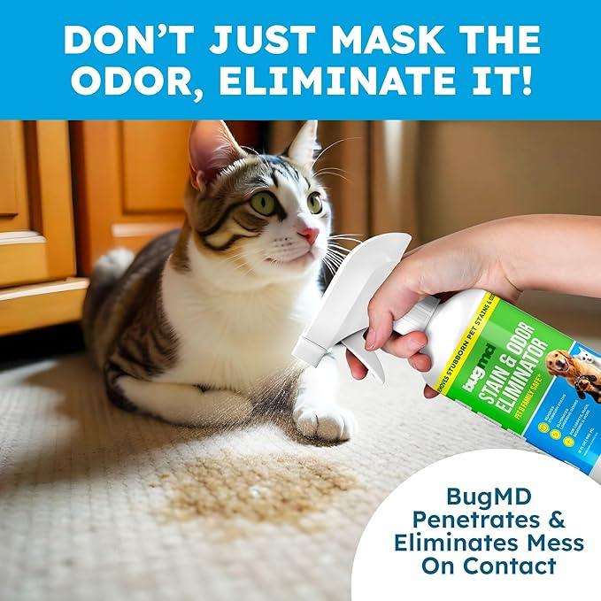 BugMD Enzyme Cleaner for Dog & Cat Urine | Pet Stain and Odor Remover for Carpet & Home | Unscented Urine Destroyer & Deodorizer - NeatNest