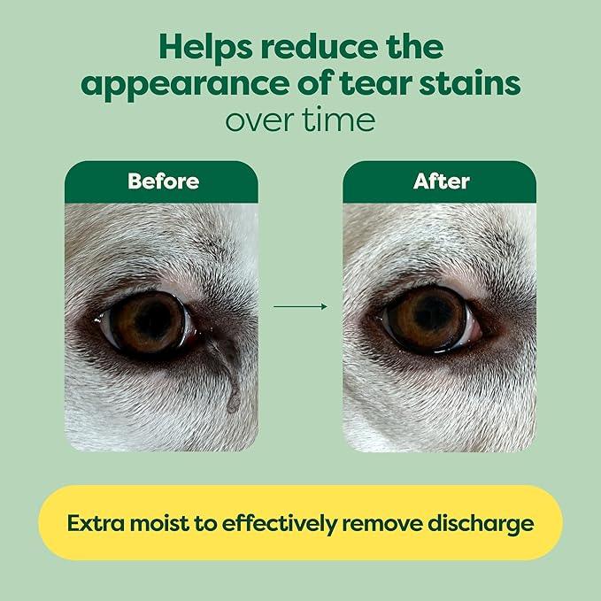 Earth Rated Vet-Developed Pet Eye Wipes, Hypoallergenic Cleaner for Dogs & Cats Eyes to Remove Dirt & Discharge, Fragrance Free, 70 Count - NeatNest