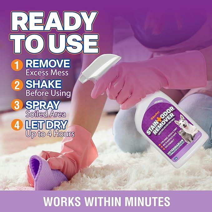 OdorPet Pet Stain Remover and Odor Eliminator - 16 Oz Ready To Use Spray, Non Staining, Professional Strength, Lavender Scent by Alpha Tech Pet - NeatNest