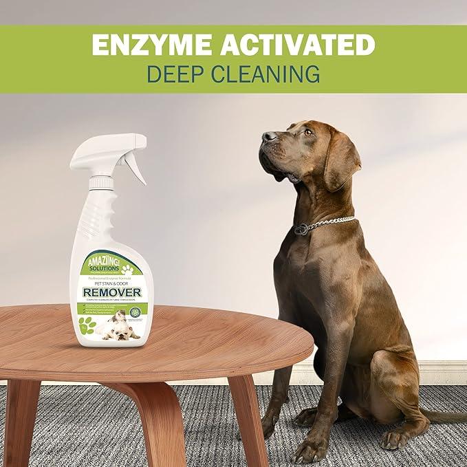 Pet Stain and Odor Remover - Enzyme Cleaner, Pet Urine Odor Eliminator Spray - Floor & Carpet Cleaner Spray, Pet Deodorizers For Home, Fabric Spray W/Fresh, Clean Scent, 32oz Spray - NeatNest