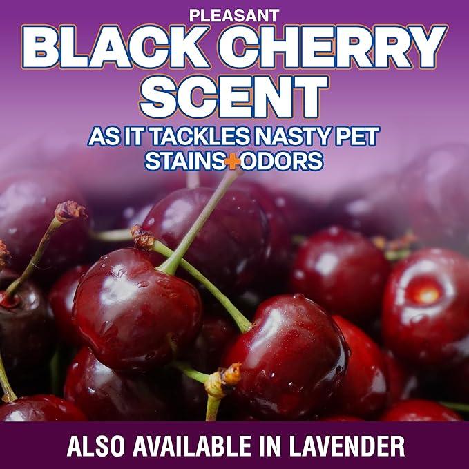 OdorPet Pet Stain Remover and Odor Eliminator - 16 Oz Ready To Use Spray, Non Staining, Professional Strength, Black Cherry Scent by Alpha Tech Pet - NeatNest