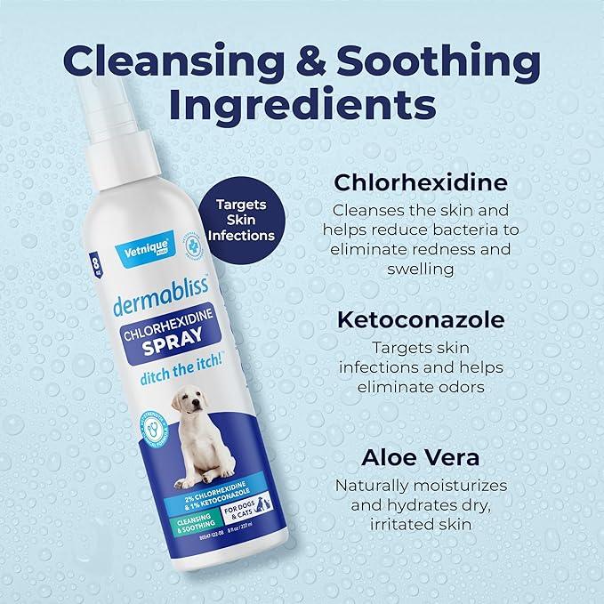 Vetnique Dermabliss Hot Spot Treatment for Dogs - Antiseptic Medicated Chlorhexidine Spray - Vet Recommended for Skin Infections, Hot Spots & Irritation (Hot Spot Spray, 8oz) - NeatNest