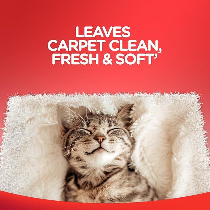 Resolve Steam Carpet Cleaner Solution Shampoo, 3.75 Lb Bottle, 2X Concentrate, Safe for Bissell, Hoover & Rug Doctor, Carpet Cleaner, Carpet Cleaner Solution - NeatNest