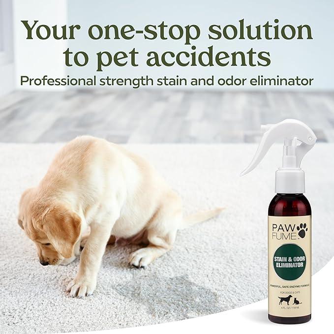 PAWFUME Stain & Pet Urine Odor Eliminator, 2-Pack – Removes Impurities in Seconds – Enzymatic Formula, Quick-Dry Action, & Eco-Friendly Ingredients – Upholstery, Fabrics, and Carpet Cleaner Spray - NeatNest