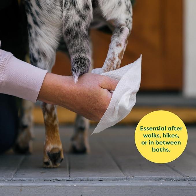 Earth Rated Pet Wipes for Dogs and Cats, Hypoallergenic, Cleaning and Hydrating, for Grooming Paws, Body and Butt, Unscented, 100 Count - NeatNest