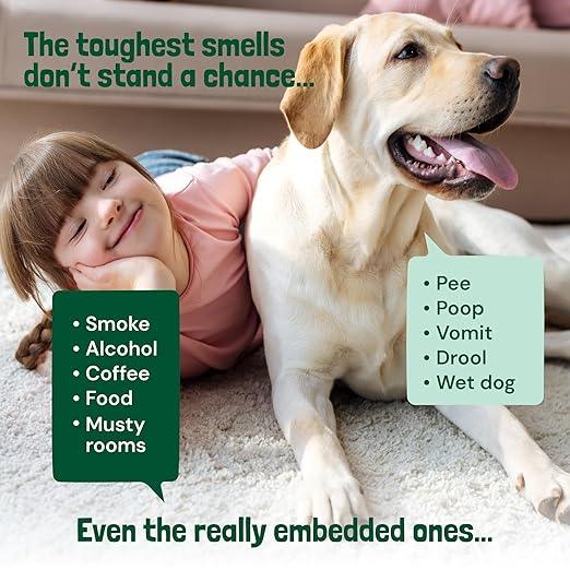 Sunny & Honey Carpet Freshener Powder - Pet & Kid Safe Rug Freshener Powder - Residue-Free, Easy Vacuum Dry Rug Shampoo (20oz, Spring Mint) - NeatNest