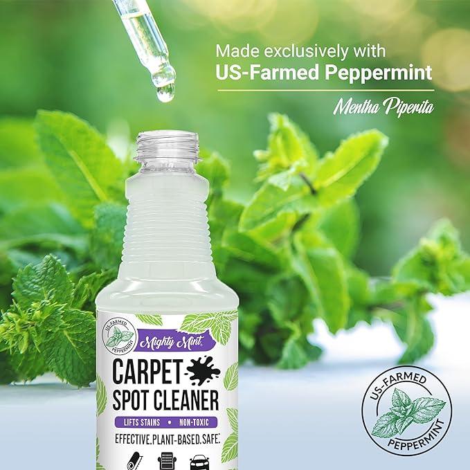Mighty Mint Carpet Spot Cleaner, Spray to Remove Carpet Stains Instantly, Natural Peppermint Scent, 16oz - NeatNest