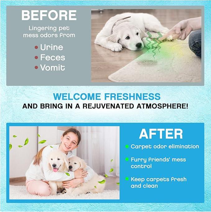 NonScents Carpet & Rug Odor Eliminator - Safe & Fragrance-Free Pet Carpet Deodorizer - Cat and Dog Smell Neutralizer - Removes Pet Urine Odors - Fresh Scent Powder in Pet Areas at Home - NeatNest