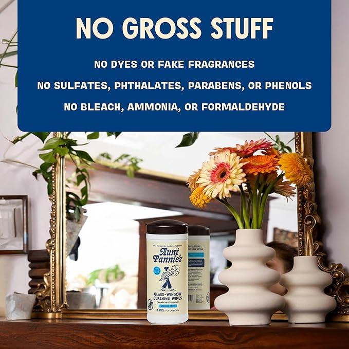 Aunt Fannie's Glass & Window Cleaning Wipes, Natural Streak-Free Glass Cleaner, 35 Count (Pack of 1) - NeatNest