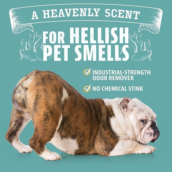 Angry Orange Pet Odor Eliminator for Home - 8oz Dog and Cat Pee Smell Remover for Carpet, Grass, Tile and Furniture - Citrus Concentrate, Makes 128oz of Liquid - NeatNest