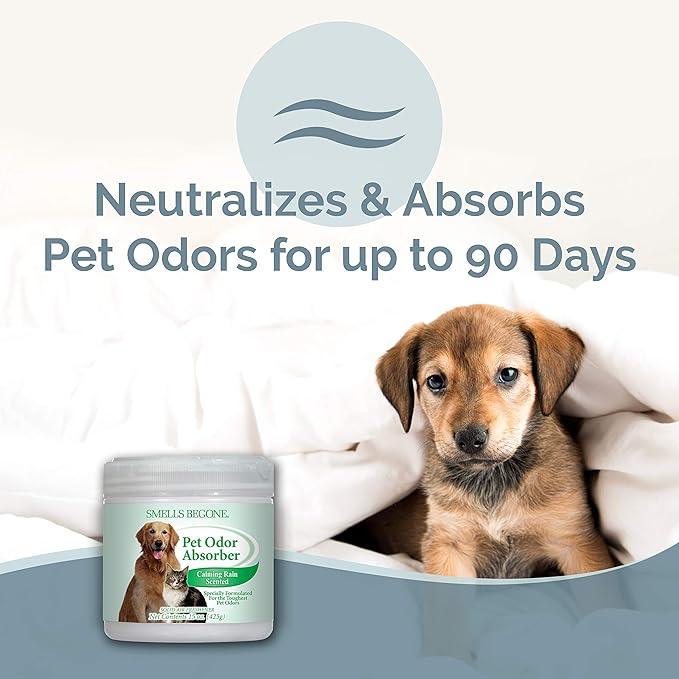 SMELLS BEGONE 15oz Gel Pet Odor Eliminator - Absorb & Remove Strong Odors from Pets, Cat Litter, Dog Poop, Urine Smells - Eliminate Whole Home Odors with Essential Oils (Calming Rain) - NeatNest