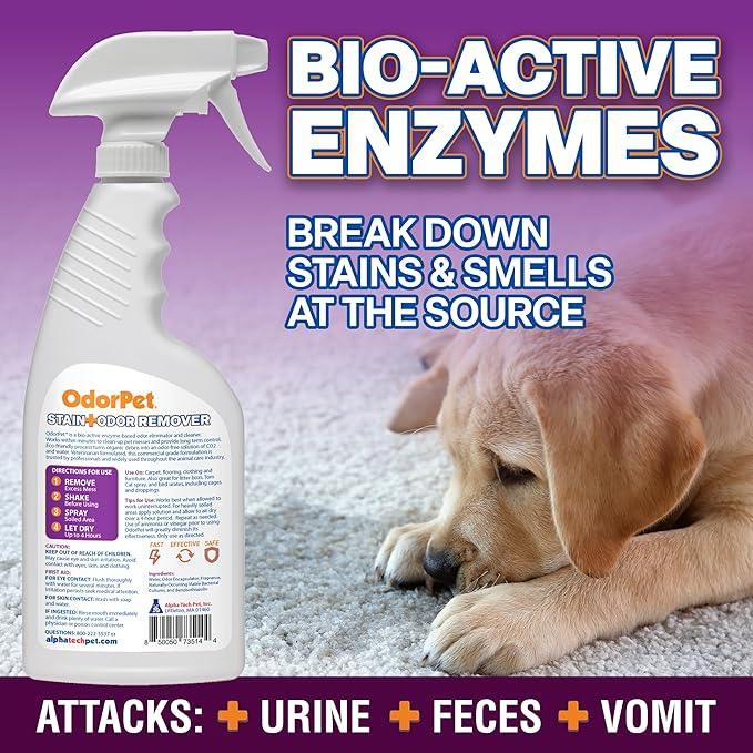 OdorPet Pet Stain Remover and Odor Eliminator - 16 Oz Ready To Use Spray, Non Staining, Professional Strength, Black Cherry Scent by Alpha Tech Pet - NeatNest