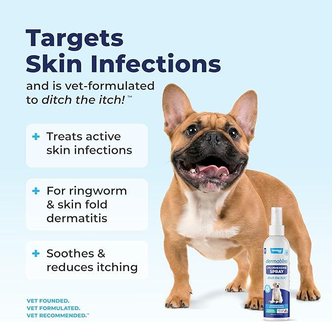 Vetnique Dermabliss Hot Spot Treatment for Dogs - Antiseptic Medicated Chlorhexidine Spray - Vet Recommended for Skin Infections, Hot Spots & Irritation (Hot Spot Spray, 8oz) - NeatNest