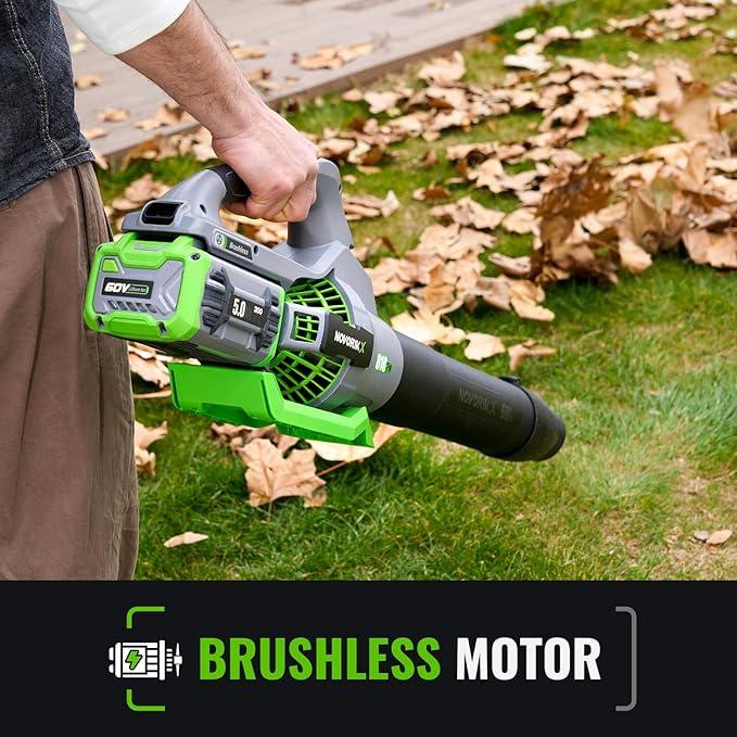 60-Volt Lithium-ion Cordless Leaf Blower with 5.0Ah Battery and Charger 810 CFM Variable-Speed - NeatNest