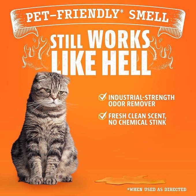 Angry Orange Pet Odor Eliminator Concentrate for Cat Urine and Smells - Fresh Scent - 8 oz (Makes 128 oz of Cleaner) - NeatNest