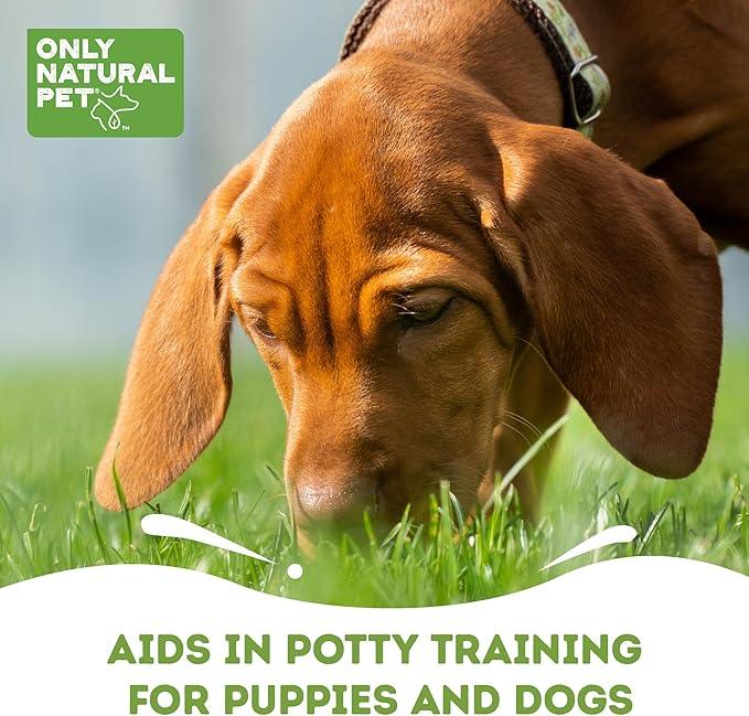 ONLY NATURAL PET No Marking Deterrent Spray for Dogs – Indoor Outdoor Urine Prevention - Stain & Odor Eliminator - Potty Pet Training Aid to Deter Peeing or Marking Carpet or Furniture – 32 Fl Oz - NeatNest