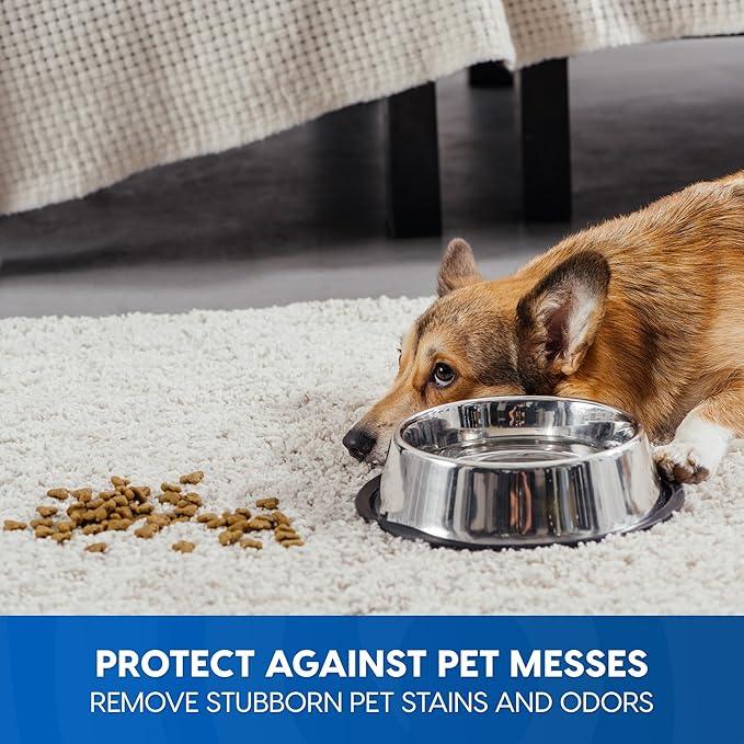 Vacmaster CCS03 Carpet Cleaner Shampoo Solution, 64 oz Spot & Stain Formula for All Carpets, Upholstery & Area Rugs - NeatNest