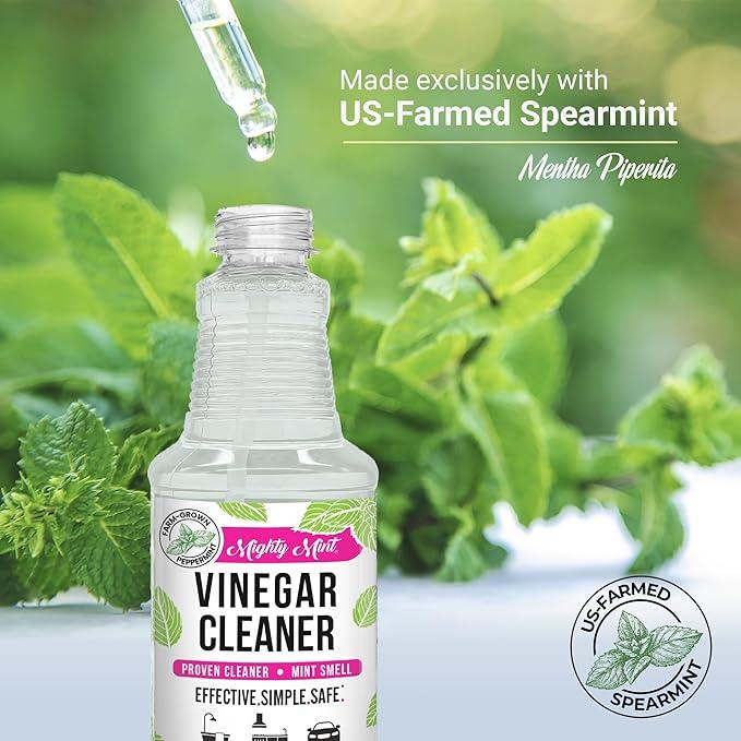 Mighty Mint Vinegar Cleaner, All-Purpose Spray, Natural Spearmint Scent, 16oz - 2 Pack - NeatNest